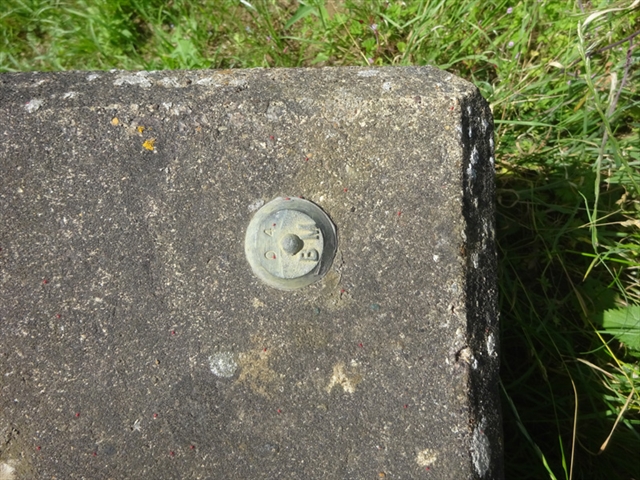 Environment Agency on Bridge